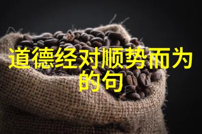 道家哲学-探索道家创始人了解老子的智慧与影响