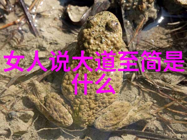 悟在天成的理解深邃宇宙中的智慧与启示