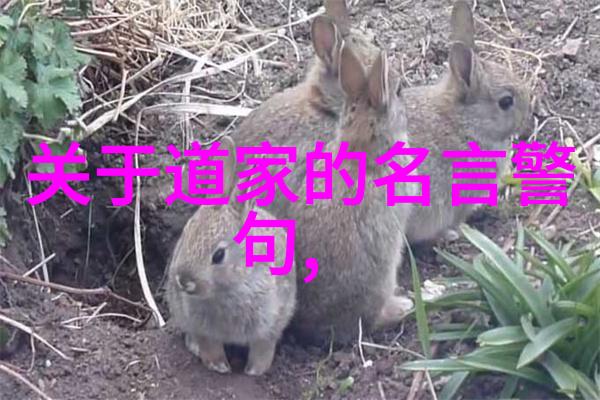 排行榜出炉四大菩萨哪位能夺冠