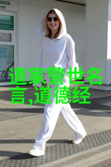 道教至尊天师之巅的隐世强者