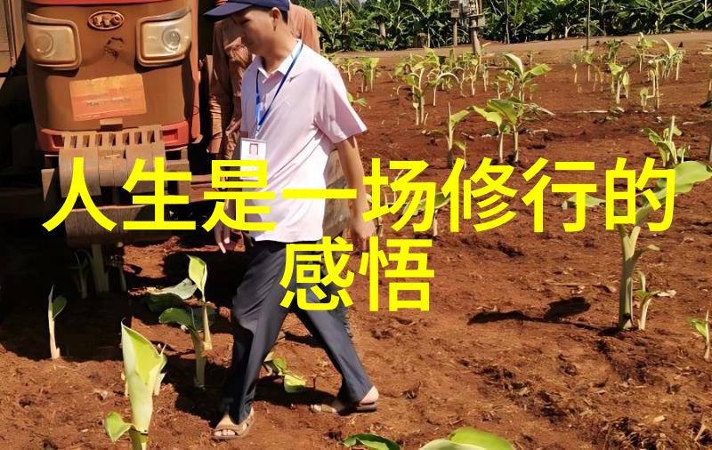 道家思想-探索道家的智慧老子与庄子的哲学遗产