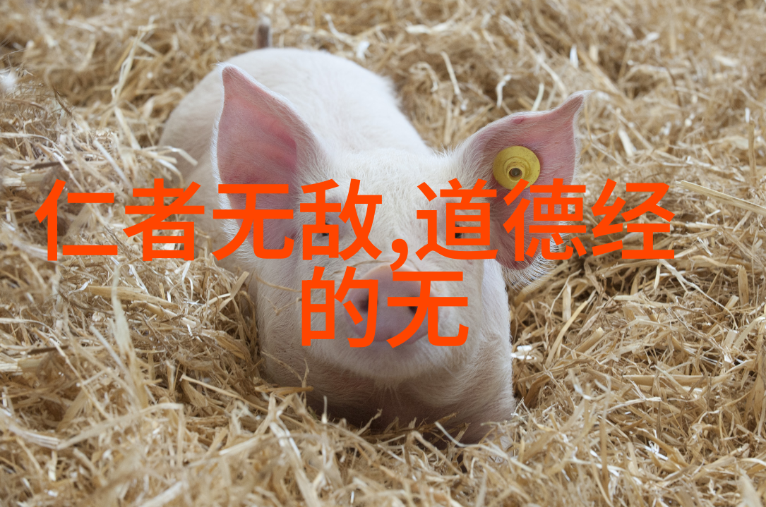 道教三经典我和我的老祖宗探秘道教的三大宝典