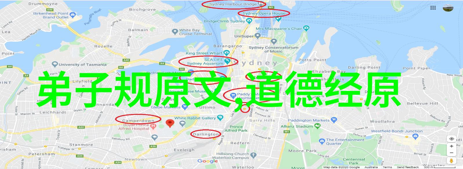 从字面到深意81章道德经拼音全文分析
