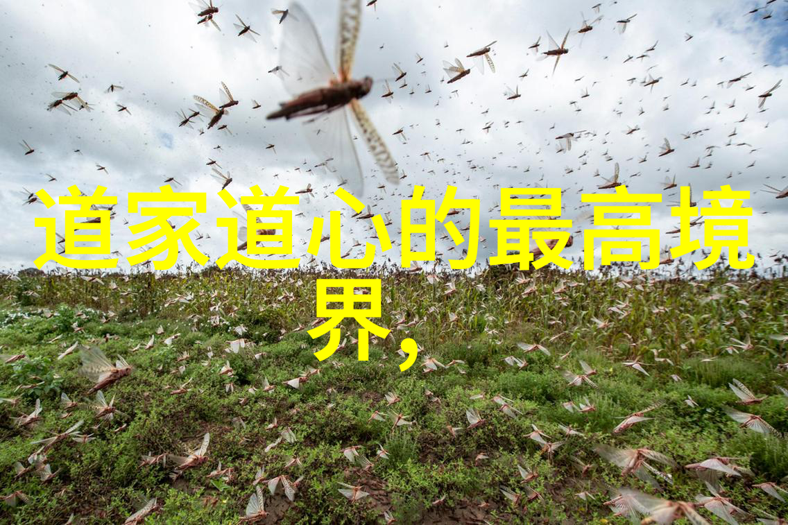 无为方能无所不为 - 轻松应对生活中的万事万物