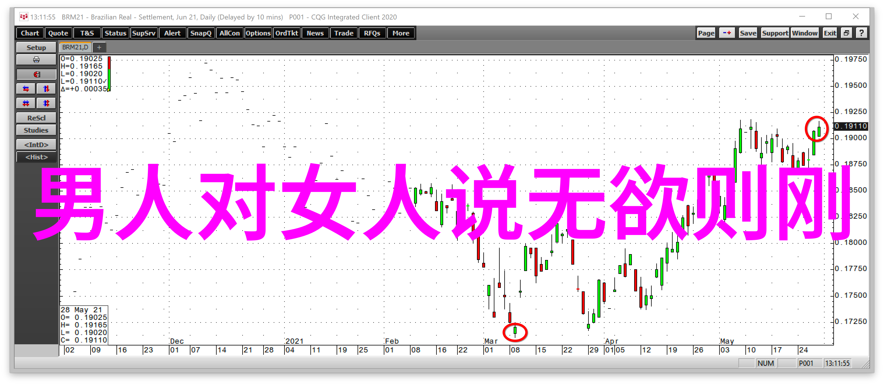 书写国粹探索届展中的艺术魅力