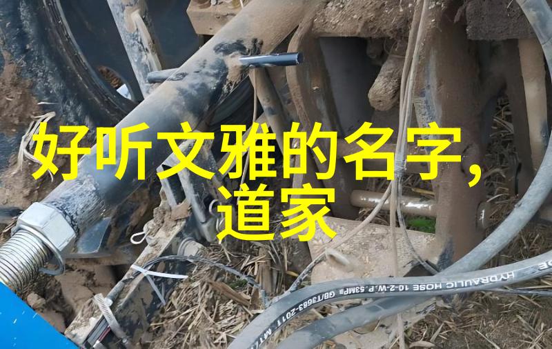 道家呼吸吐纳法(完整版)-通气调息探索道家呼吸吐纳法的艺术与科学
