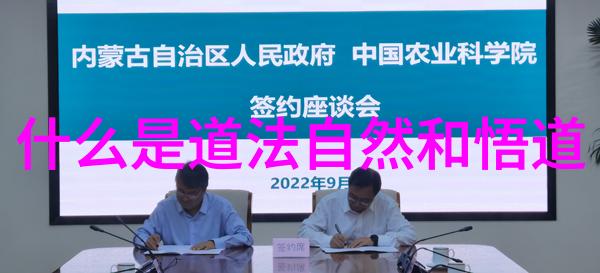 探索大道至简简约智慧的哲学与实践