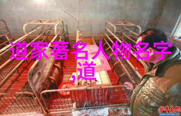 道家秘籍揭秘天罡心法的奥秘与实践