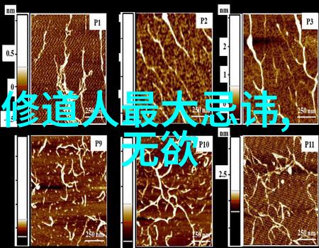 道家祖师爷是哪位神仙道教的创始人和最高神