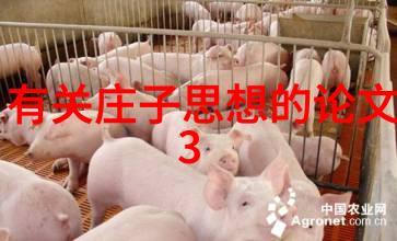 艺术素养艺术赏析深度探究提升视觉欣赏能力