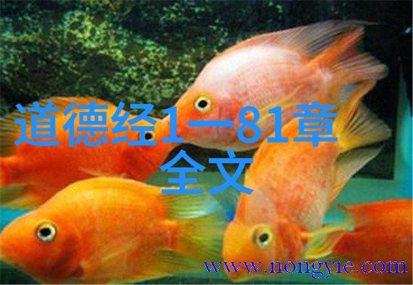 探索国产瑜伽之美白皙肌肤的艺术篇章
