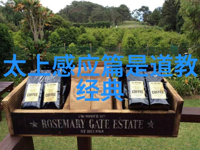 道教中天师之位的神秘与尊崇