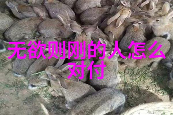 生活哲学每日启示深刻人生智慧的日常分享