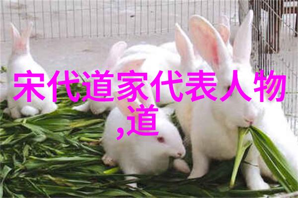 民间传唱 探讨那些至今仍在民间口头传播的老歌新旋律