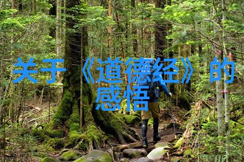 简约之道我们如何真正掌握大道至简的精髓