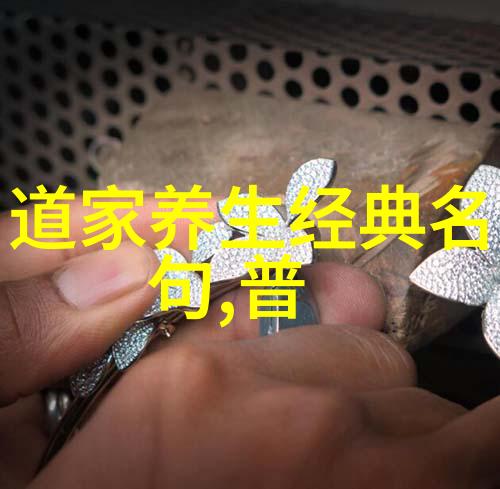 悟透了天道规律 - 明理辨惑探索宇宙之谜与人生智慧