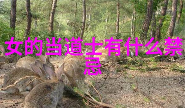 庄子中的无为而治思想探究