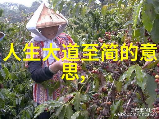 道者探索属于道家学派的人物精神与哲学
