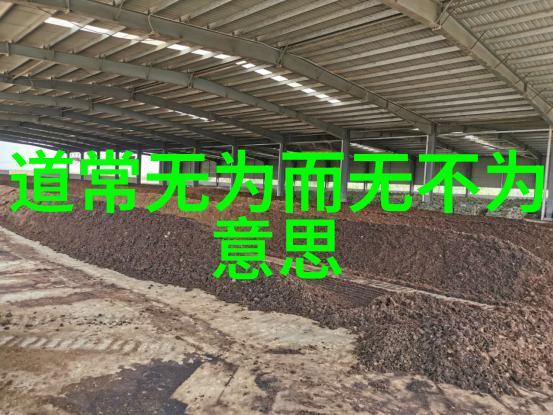 庄子无为而无不为道家哲学中的无为之术
