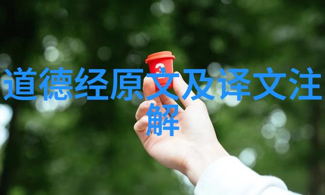 天地不仁以万物为刍狗道德经全文背后的哲思
