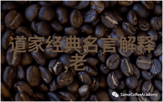 易经阅读者的女性形象探究性别与传统智慧的交汇点