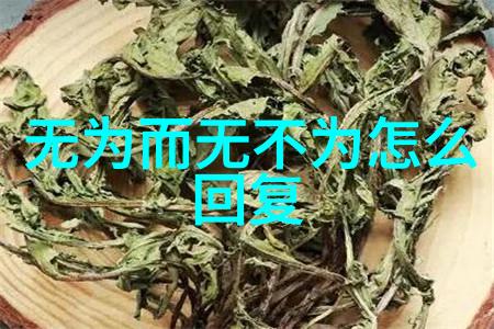 道家哲学老子与张道陵的智慧