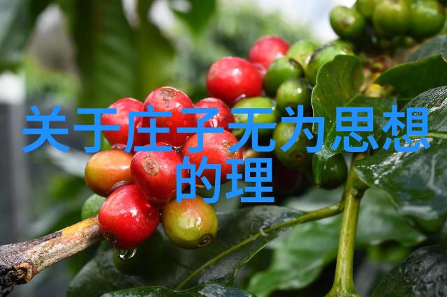 铁石心肠的智慧无欲之女的坚定意志