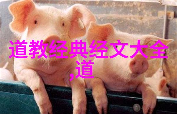 天道经-修成天道探索古籍中的修炼之路