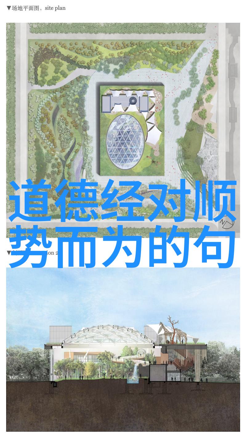 道家学说对中国和世界的影响-道法自然道家智慧在传统文化与现代社会中的演变