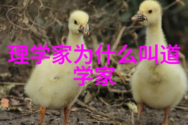 天地无为也而无不为也自然的智慧与宇宙的和谐