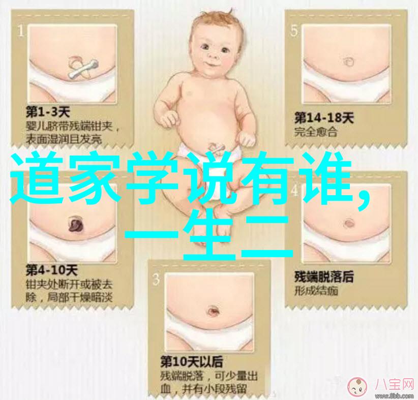 理想与现实无为之治面对挑战与反思