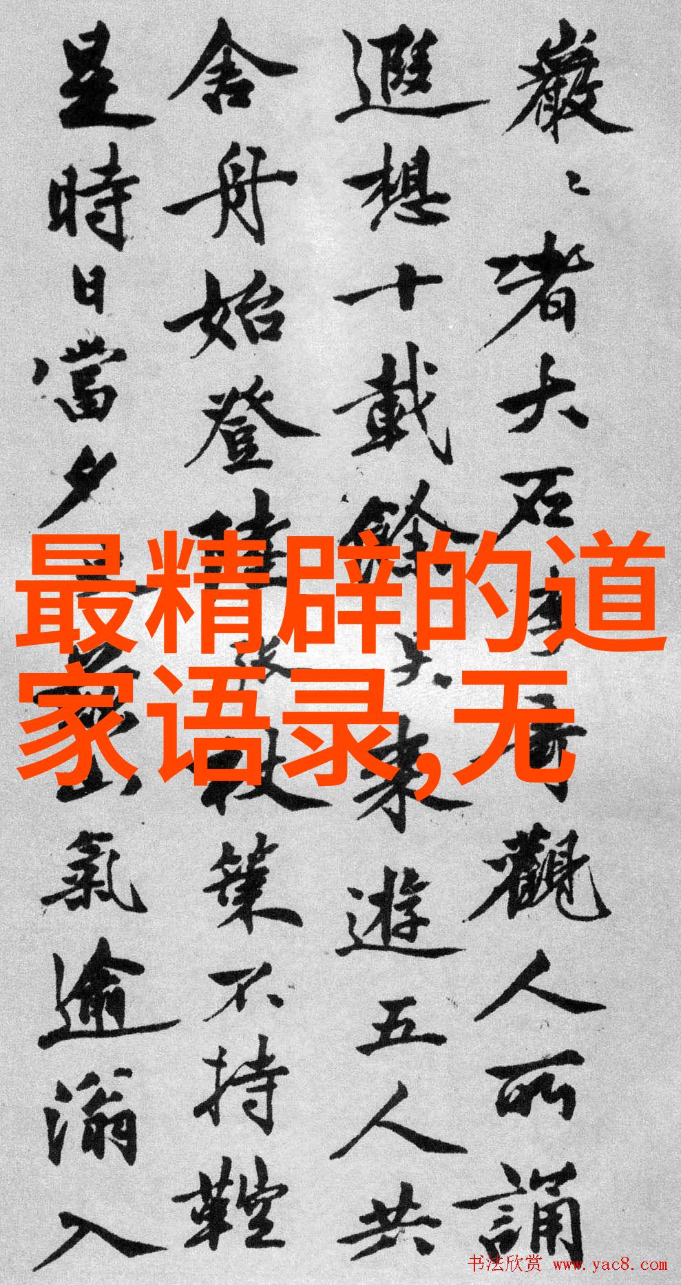 探索水质佳的双指轻触之旅