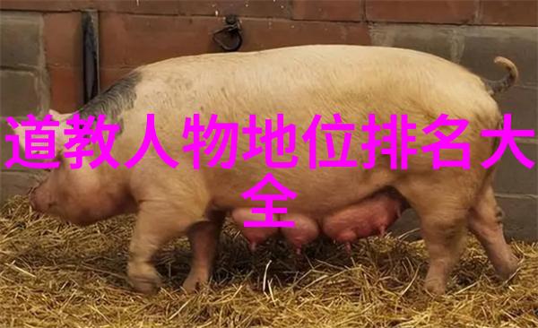 修行过程中如何预防自己陷入心灵的泥沼之中