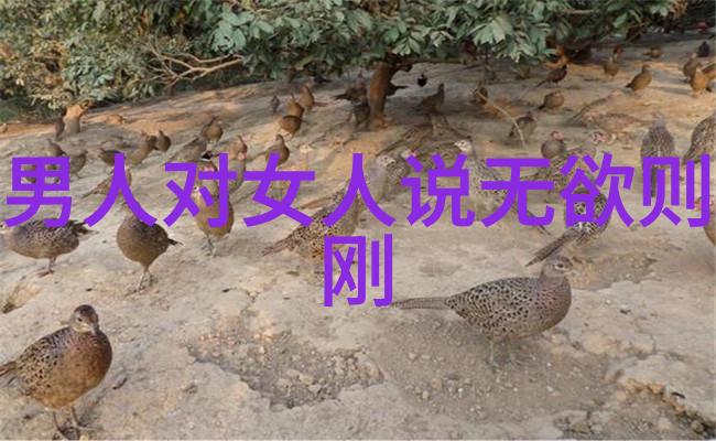 好听的道士道号我遇到的那位好听的道士他的名字像天籁之音