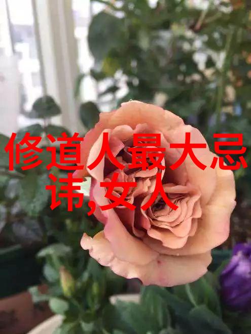 道家哲学之光其对中国文化传承与全球思维模式的深远影响探究