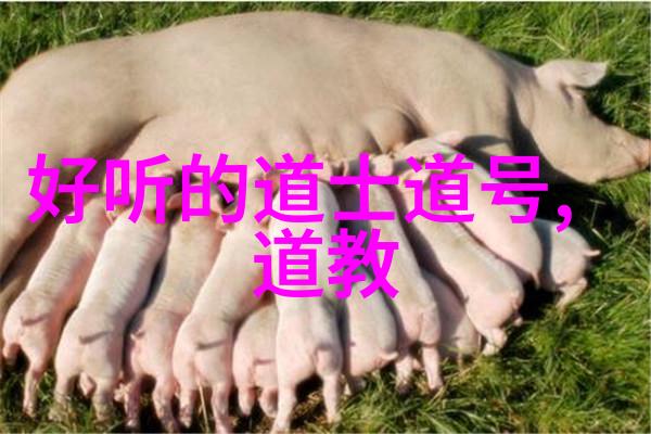 道家经典静默中的巨轮与喧嚣中的微尘