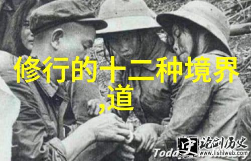 无为而治探索对无为而无不为哲学的现代诠释
