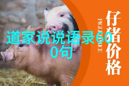 陈寔通书的整理与推广一种实用主义的道家精神体现