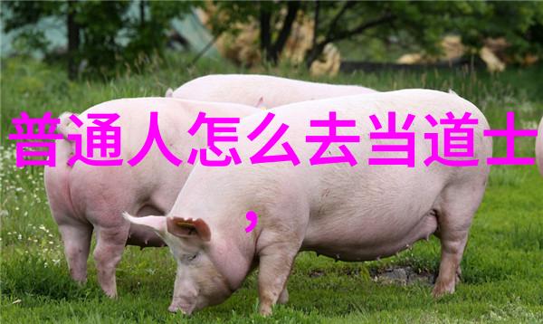 开启生命延长之门究竟有哪些秘诀可学