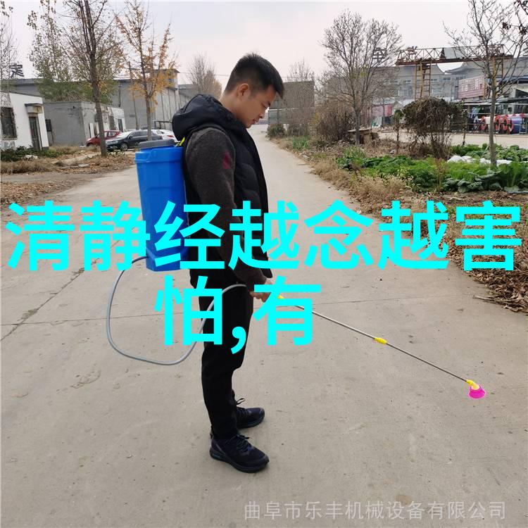 自然之道追求内在的真谛与简单生活方式