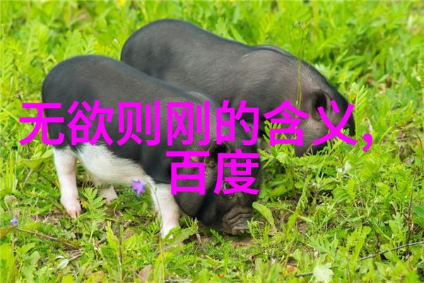 佛语心灵深度解读和分享适合朋友圈的佛学智慧
