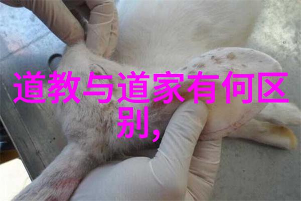 书法的鉴赏知识亲自学一手好字从识别笔触到欣赏艺术
