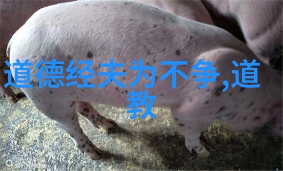 易经十大忌讳避免诸事不顺的生活