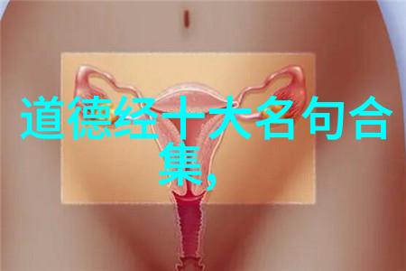 寻道者穿越迷雾的修行之路