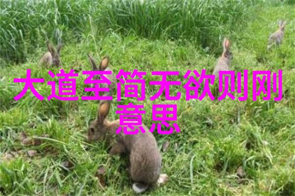什么叫做无不为我是如何学会凡事都要尽力而为的
