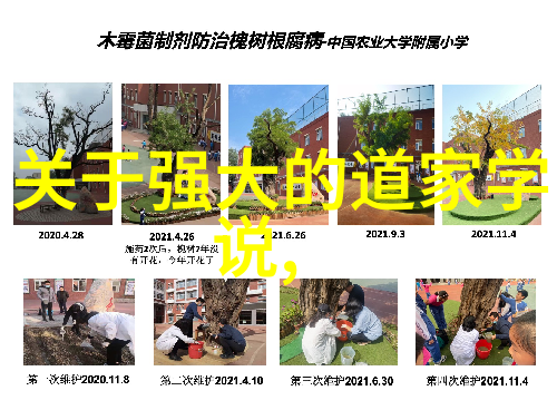 超越形式的自由之旅探索现代自由体诗歌的特点和魅力