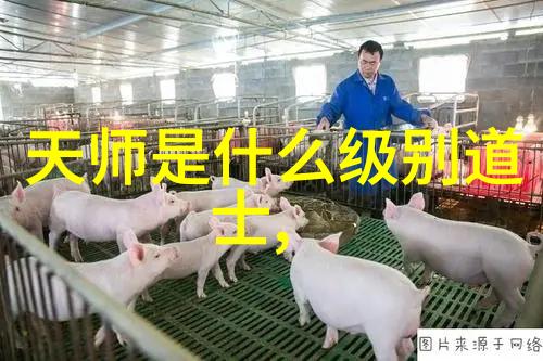 道家修炼的秘密寻找内心的真谛