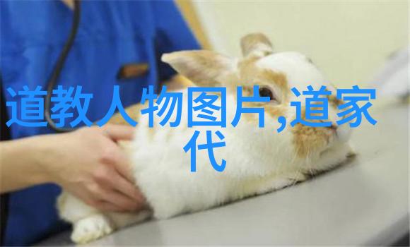 道德经全文及译文81章探秘揭开老子的智慧之门