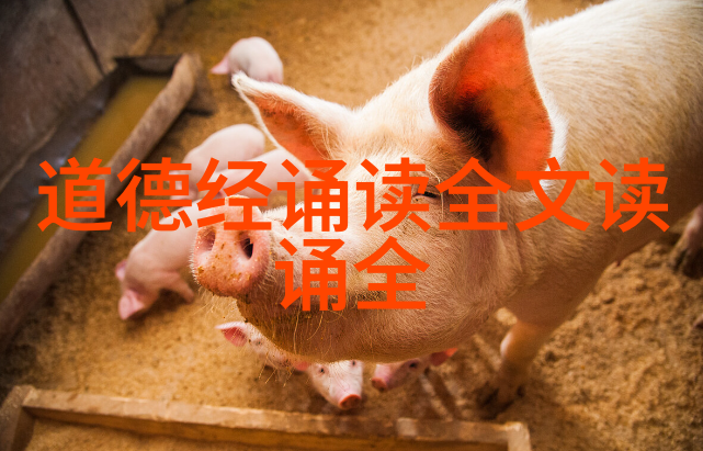 道家的主要代表人物探索揭秘老子庄周与其他智者