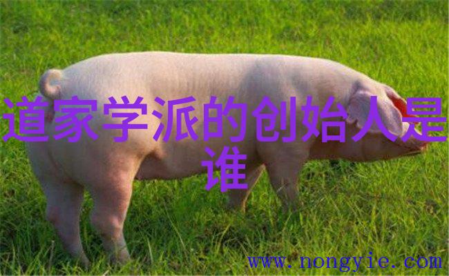 数字时代的刍狗生活技术与自然和谐共处